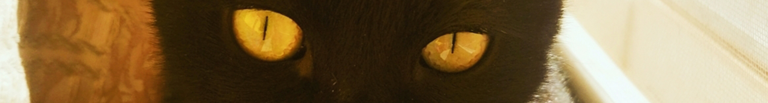 罗蕊蕊的个人主页（封面预览） - 主页封面设置 - 站酷设计师罗蕊蕊原创素材 - 站酷ZCOOL