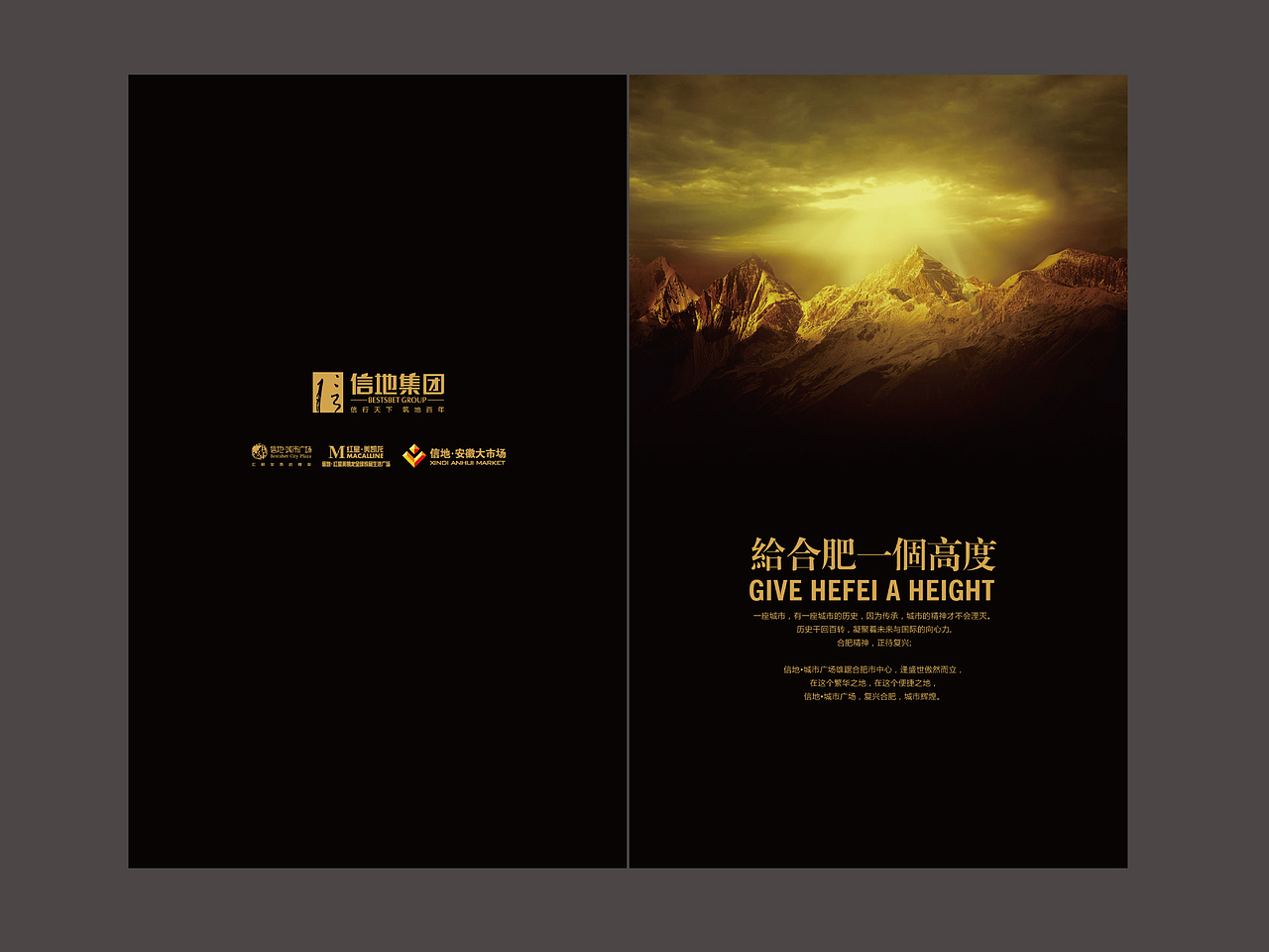 合肥信地城市广场销售折页(2010年作品)