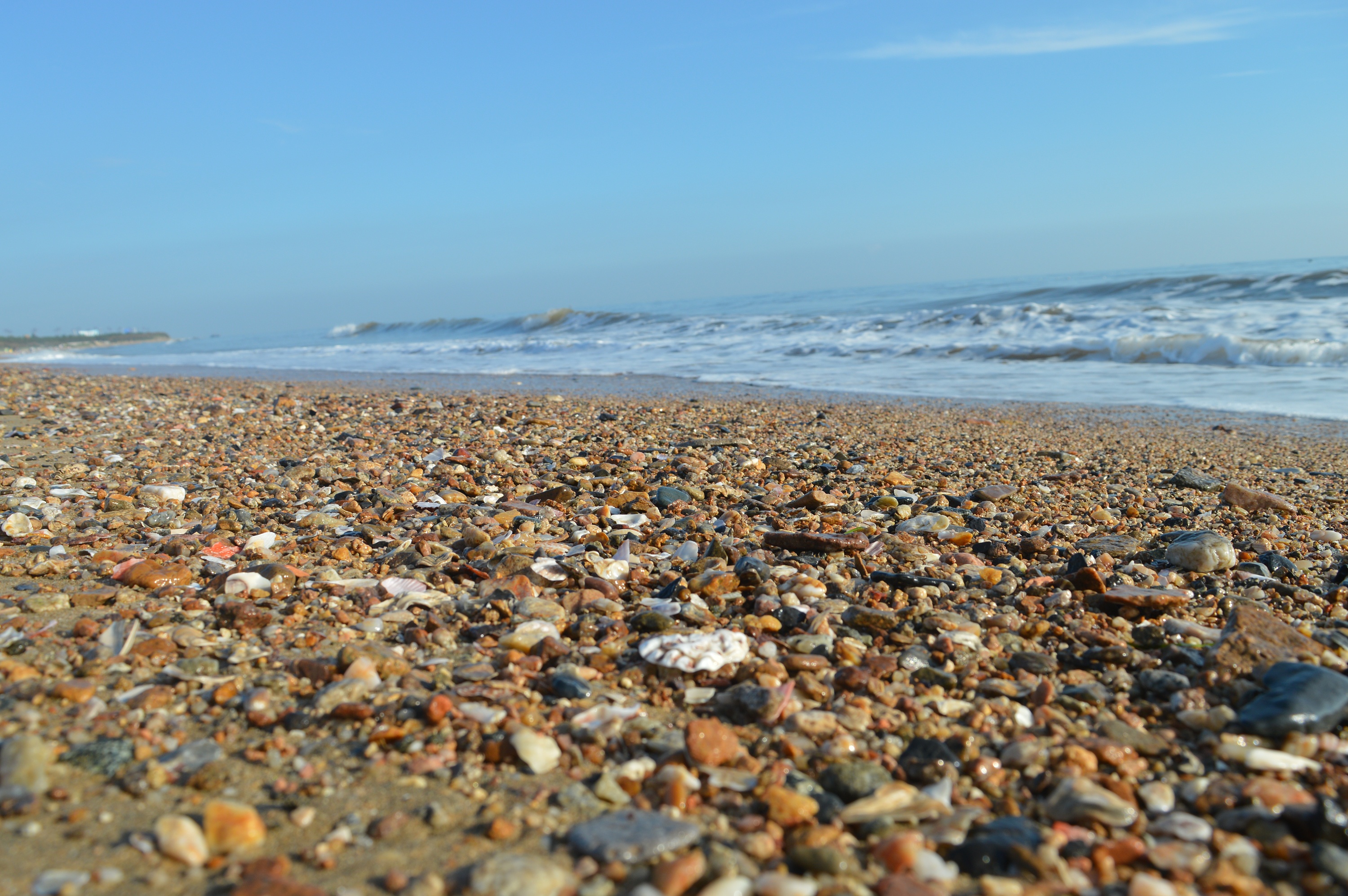 海 海浪 海滩 贝壳 摄影贝壳 沙滩 清晨海滩