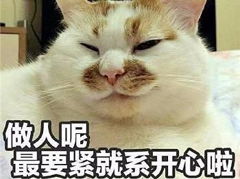 母婴（个人主页-ZMzM4Mzk5NDA=） - 运营设计 - 站酷设计师风凊原创素材 - 站酷ZCOOL