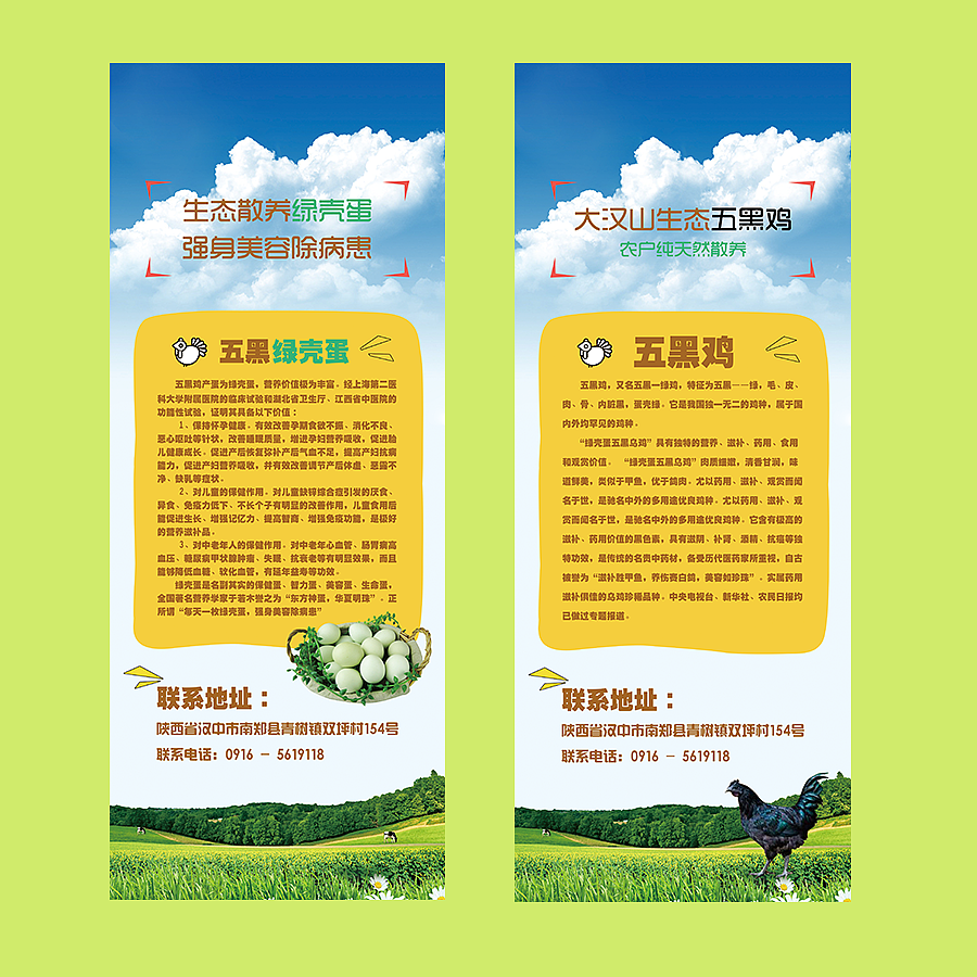 五黑鸡易拉宝（图ZNTI2OTk3MDQ=） - 宣传物料 - 站酷设计师隔壁瓜叔叔原创素材 - 站酷ZCOOL
