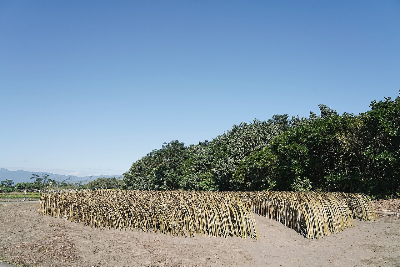 地景藝術《風的季節》（图ZMjQyNTc3MTky） - 实验艺术 - 站酷设计师林靖格原创素材 - 站酷ZCOOL