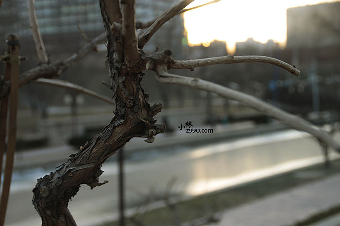 北京风光摄影:元大都的冬天