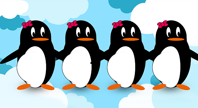 知道为什么会有四小天鹅吗