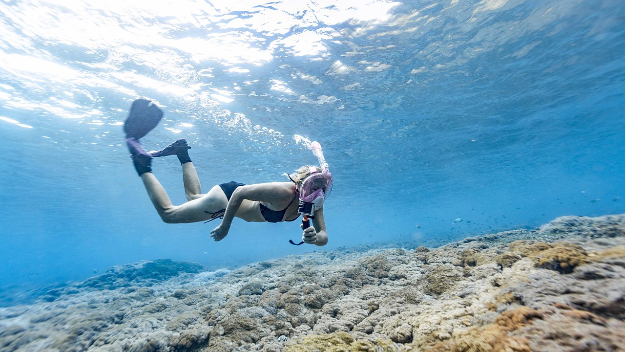 巴厘岛潜水面罩水下视频