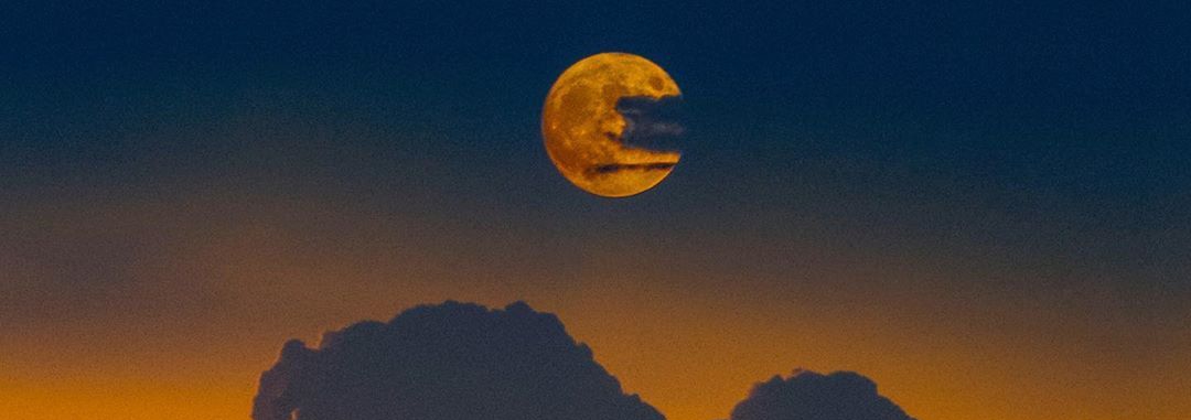 棉花糖葫芦的个人主页（封面预览） - 主页封面设置 - 站酷设计师棉花糖葫芦原创素材 - 站酷ZCOOL