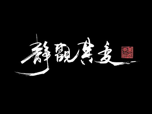 静观其变只为御风而行
