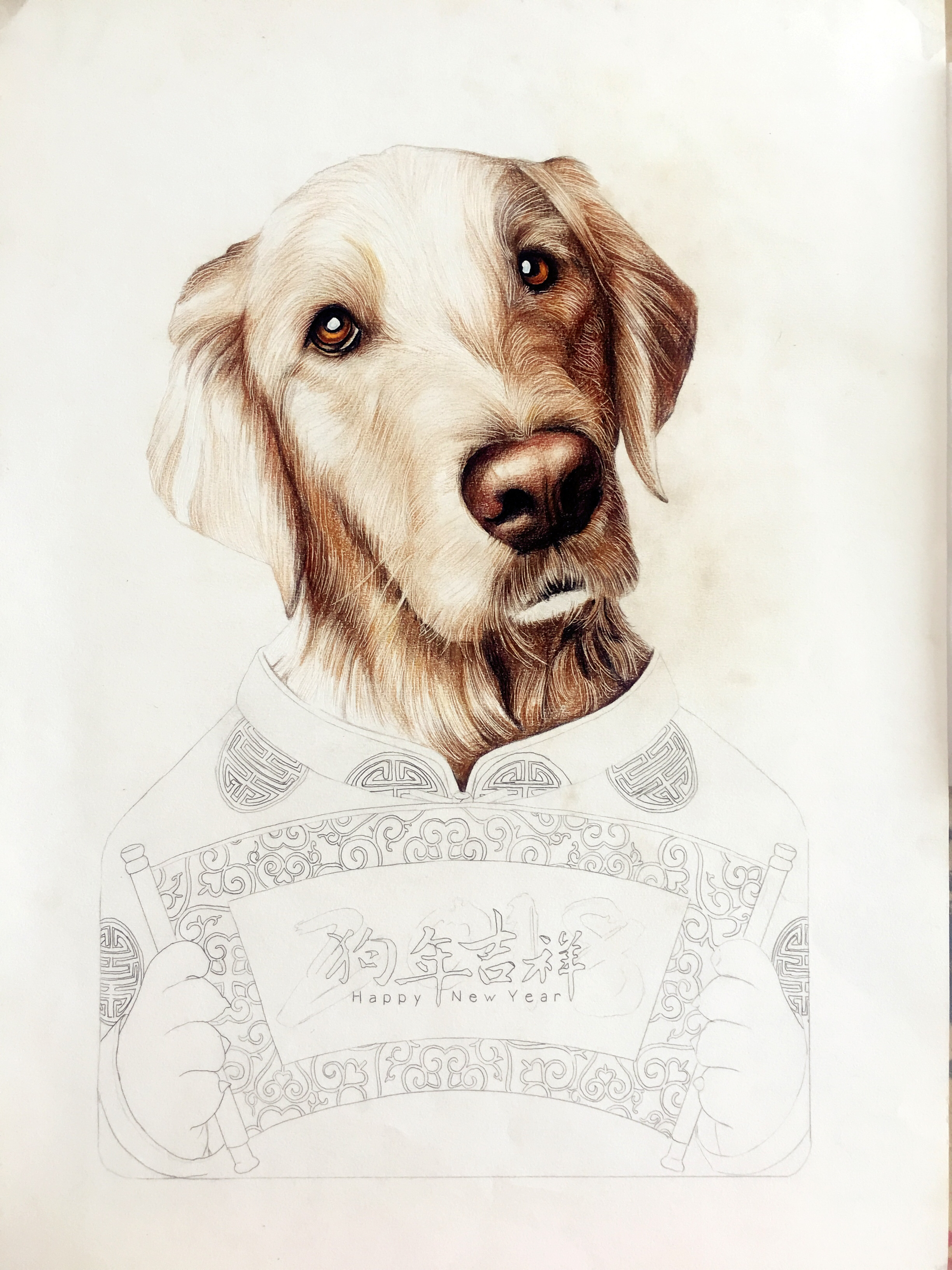 彩铅狗狗|纯艺术|绘画|完美mcl - 原创作品 - 站酷 (zcool)