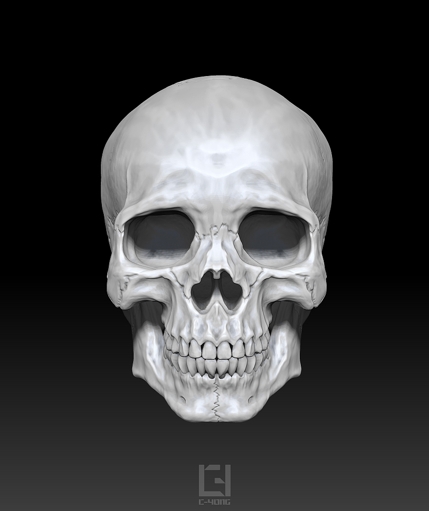 头骨雕刻渲染练习