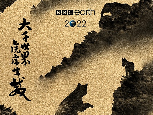 ｜大千世界，虎虎生威 | BBC Earth - 虎年春节海报 |