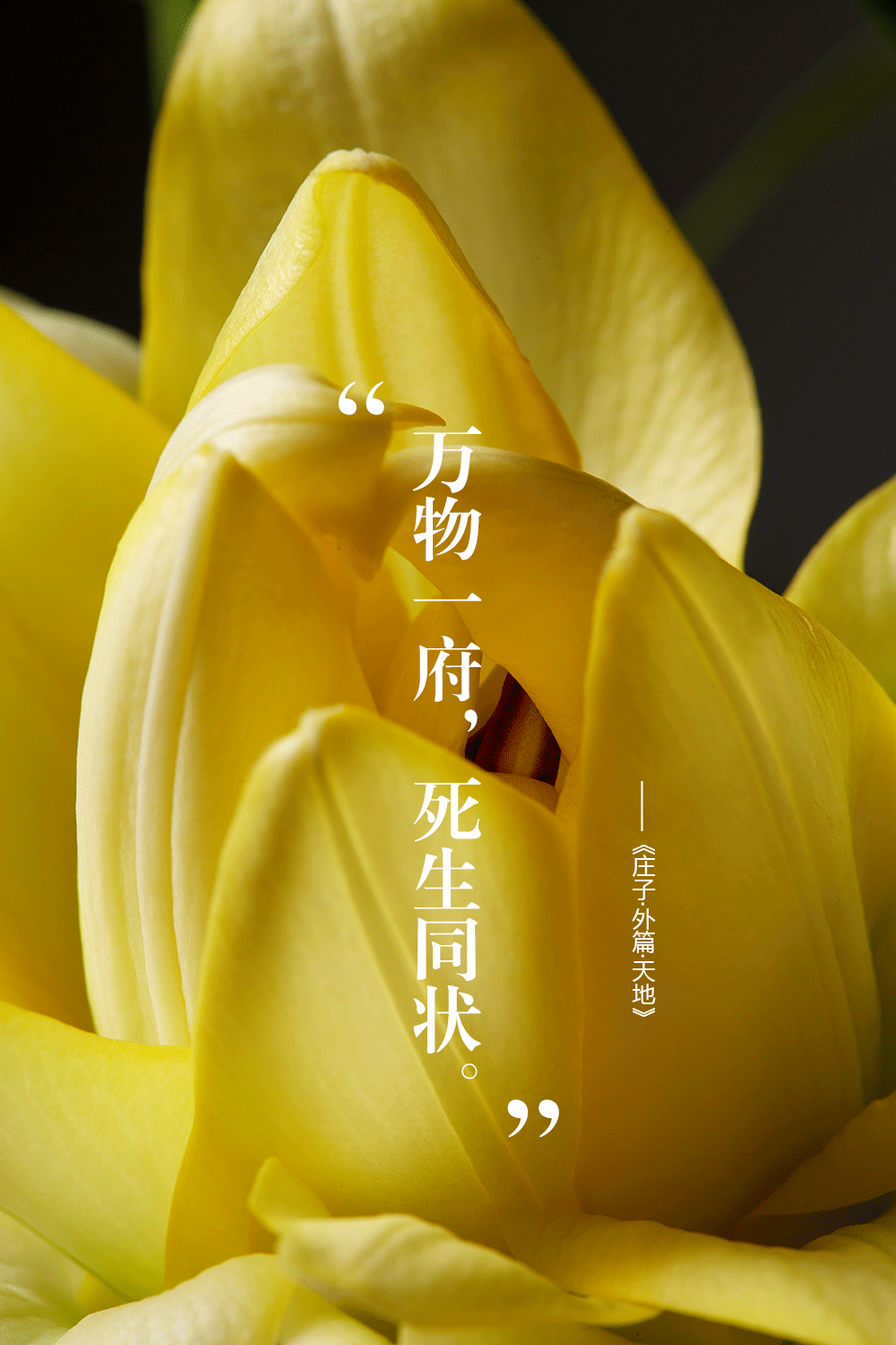 #高恩广告#妆容片