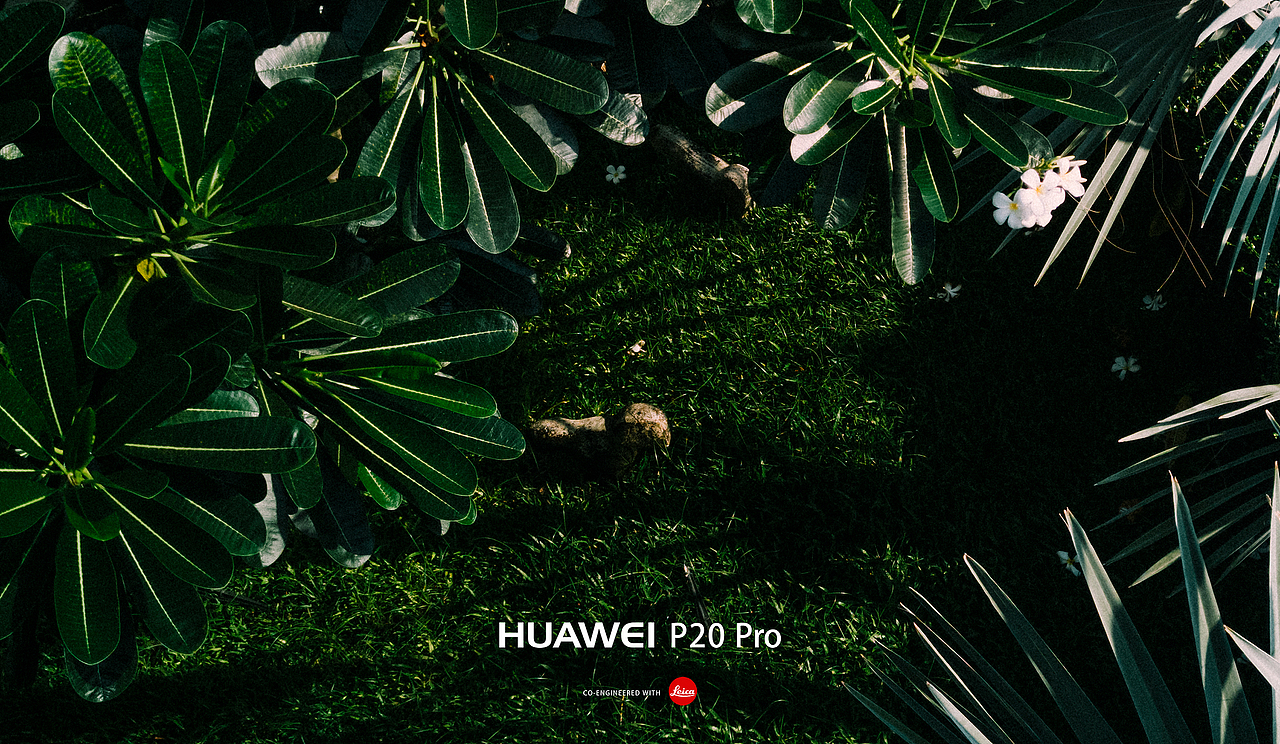 HUAWEI华为最新旗舰手机P20 pro拍摄的彩色样片