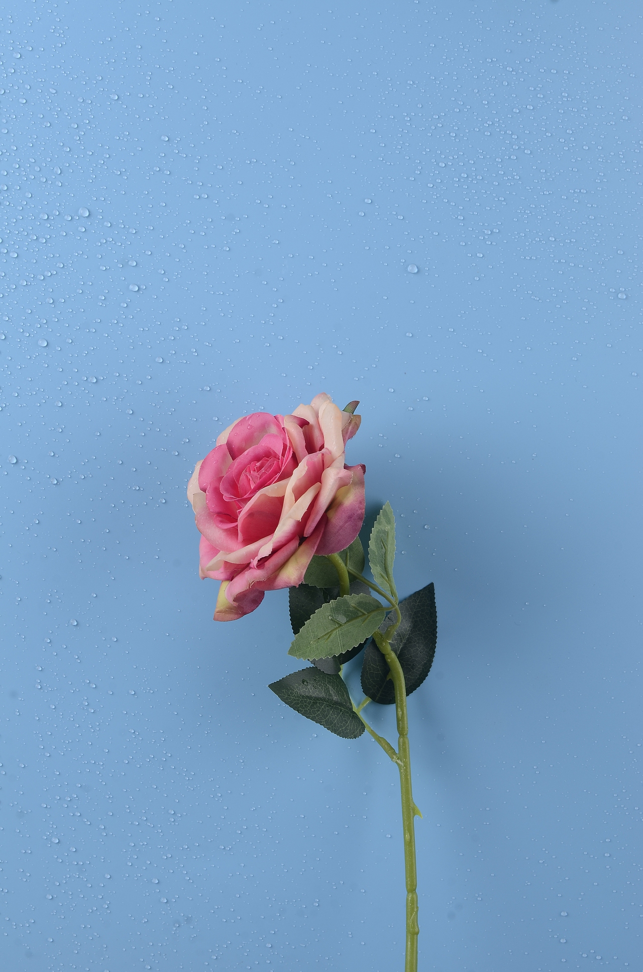 花花世界（图ZMTY2NTk3Njg4） - 产品摄影 - 站酷设计师我是一条好汉原创素材 - 站酷ZCOOL