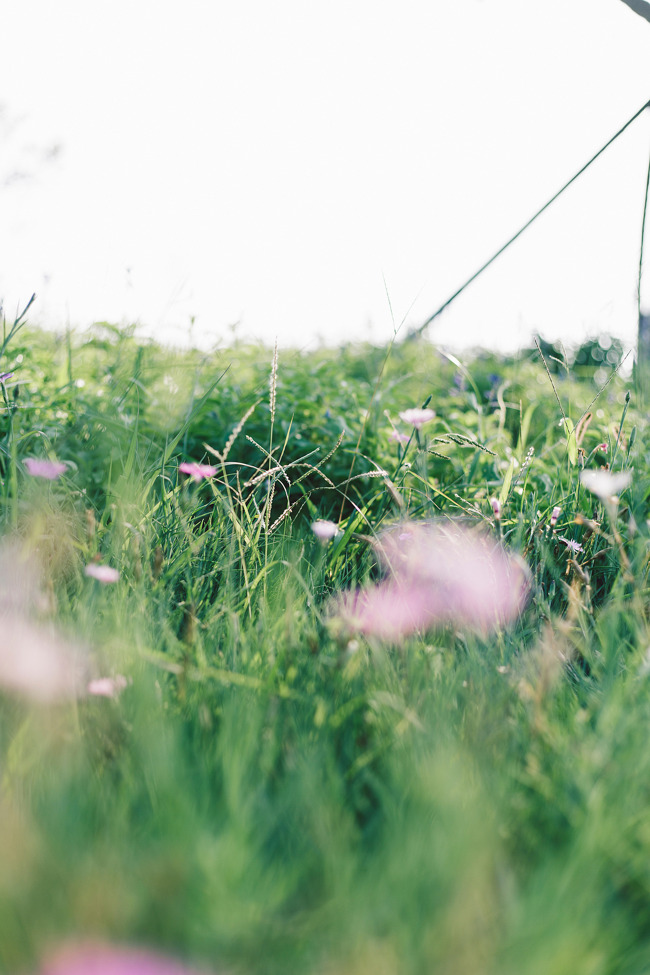 青岛（图ZMTczNzQ0MzIw） - 风光摄影 - 站酷设计师高富民FuminKao原创素材 - 站酷ZCOOL