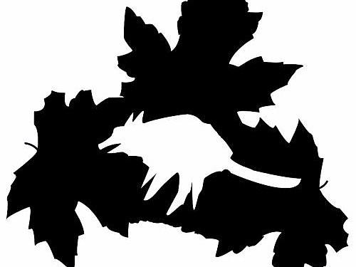 葉子（個(gè)人主頁(yè)-ZMjQ4MjM2NzI=） - 創(chuàng)作習(xí)作 - 站酷設(shè)計(jì)師女漢子的眼淚原創(chuàng)素材 - 站酷ZCOOL