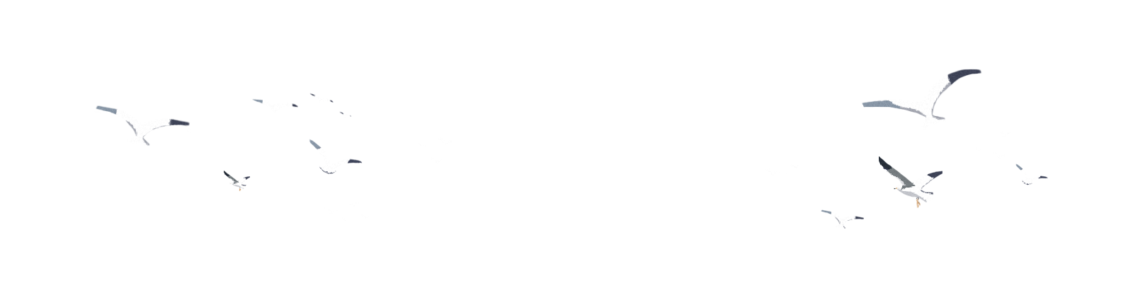 小黄人跑了的个人主页（背景预览） - 主页背景设置 - 站酷设计师小黄人跑了原创素材 - 站酷ZCOOL