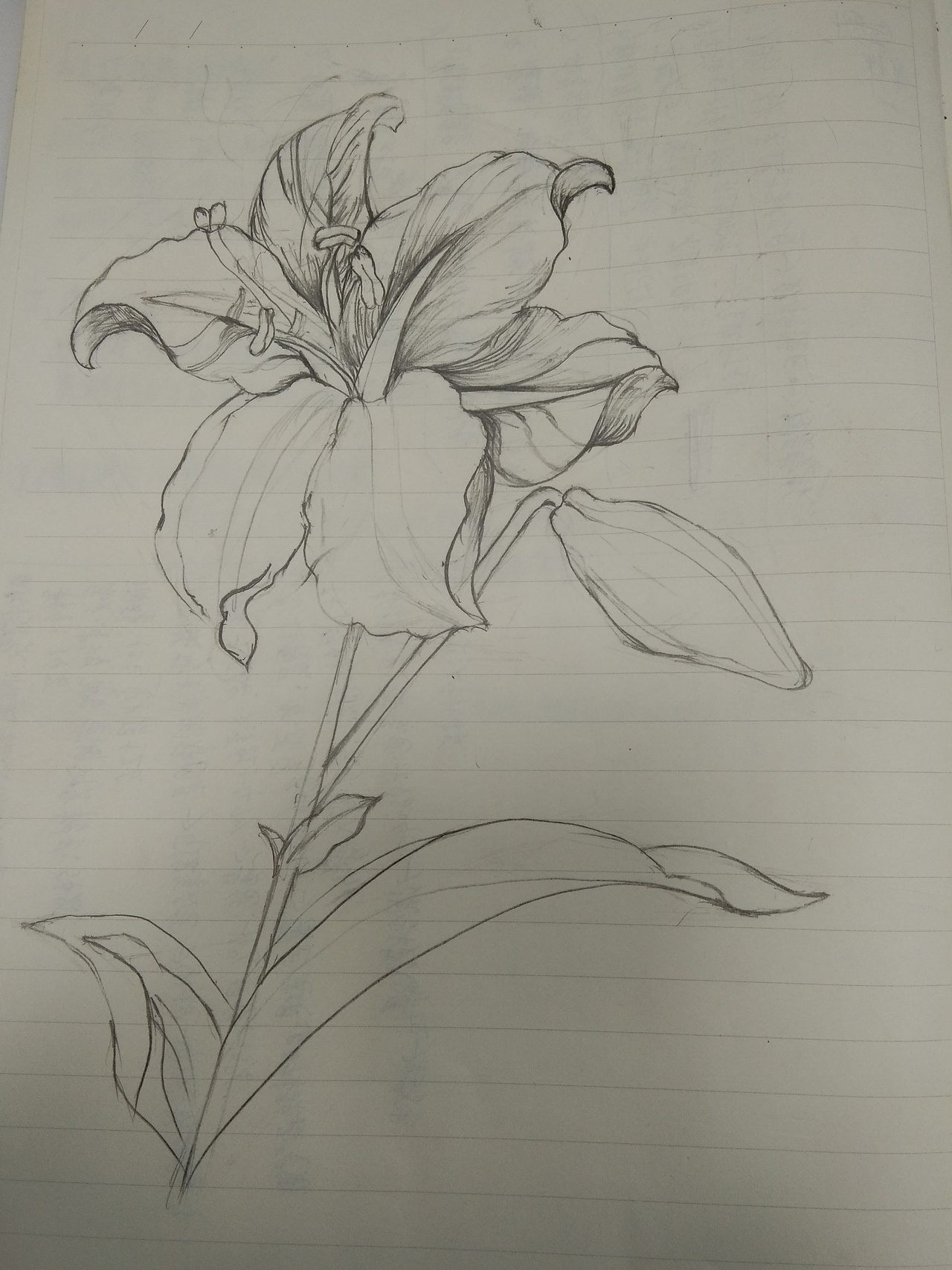 臨摹作品（圖ZMTMyNDk4MDQ0） - 其他 - 站酷設計師Z51255492原創(chuàng)素材 - 站酷ZCOOL