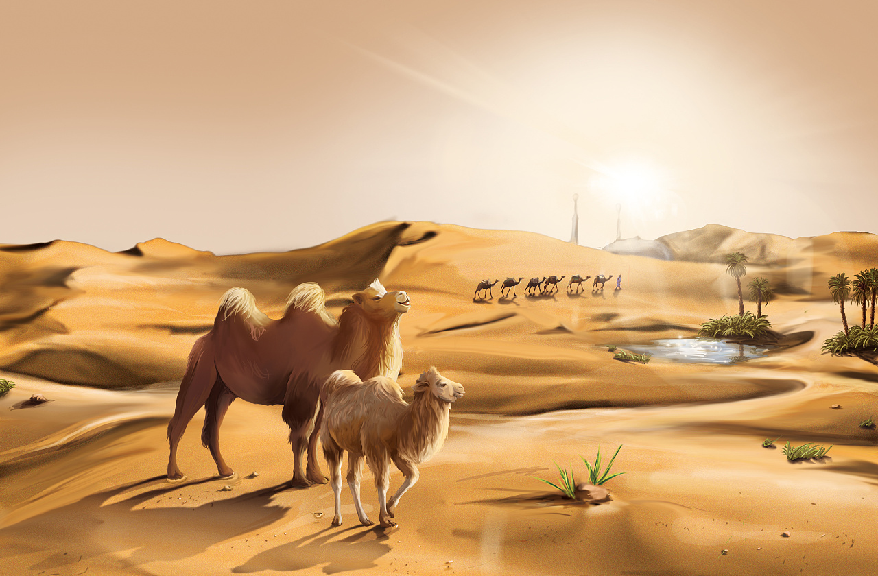 骆驼|画廊|中国国家地理网