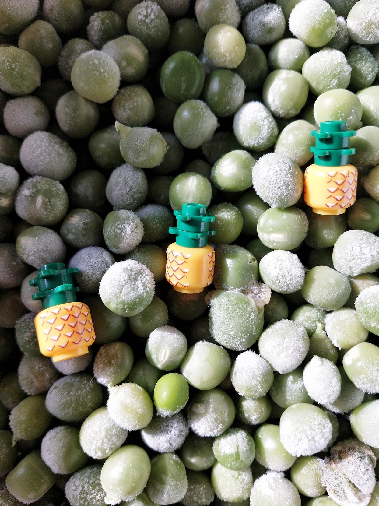 樂高之蔬菜大冒險（圖ZMTQxMDUwODg0） - 其他攝影 - 站酷設(shè)計師拍拍拍的旺仔醬原創(chuàng)素材 - 站酷ZCOOL