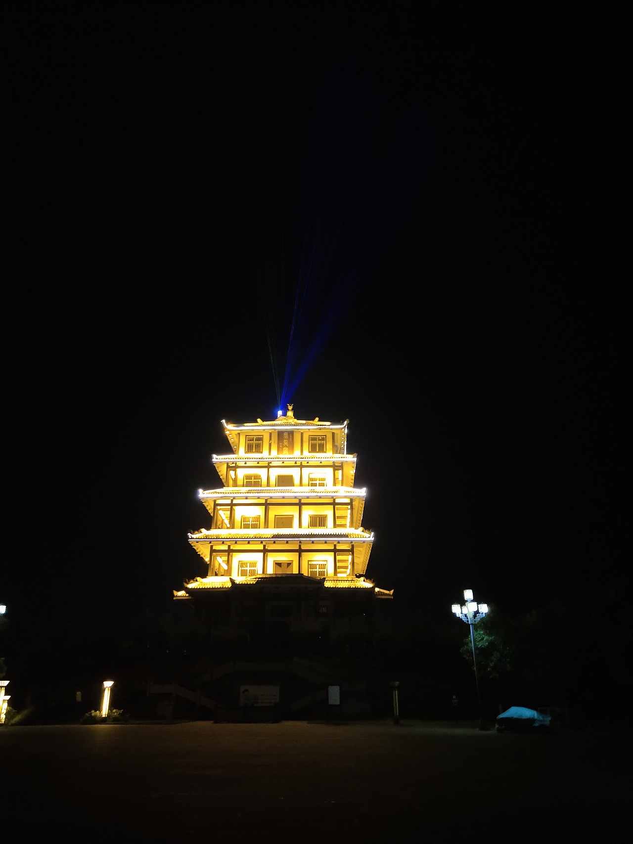 风景,动物,夜景