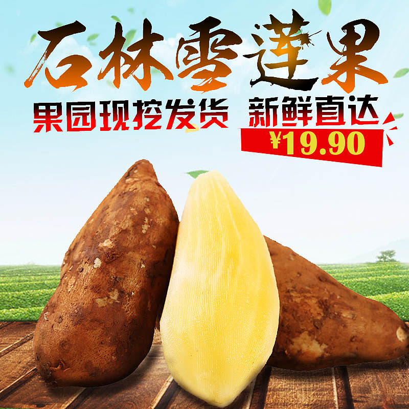 雪莲果（图ZOTkxODU1ODg=） - 海报 - 站酷设计师MilkSnake原创素材 - 站酷ZCOOL
