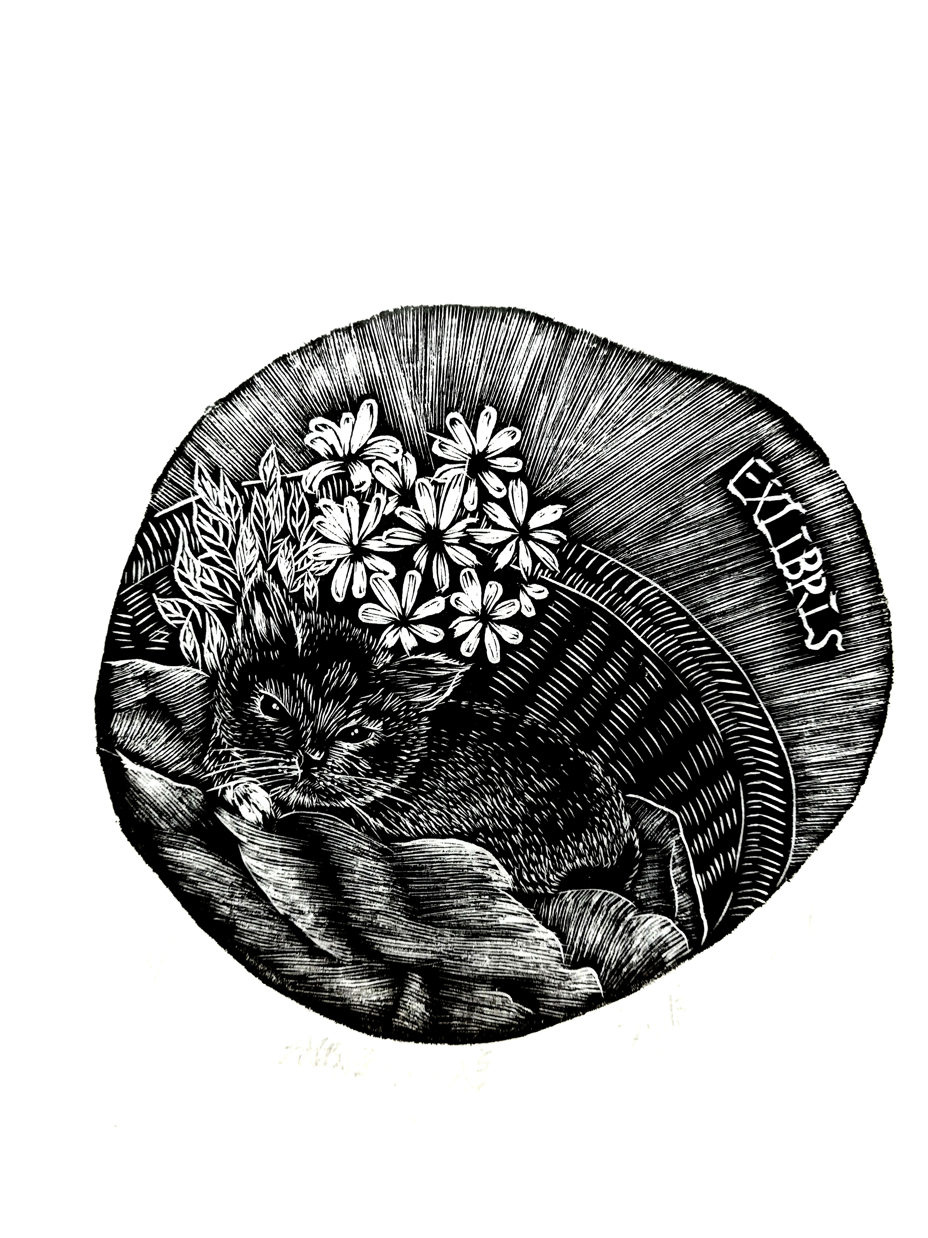 木口木刻藏书票|纯艺术|绘画|agnes2233 - 原创作品 - 站酷 (zcool)