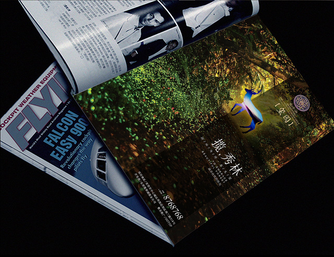 揽翠湖项目提案整理