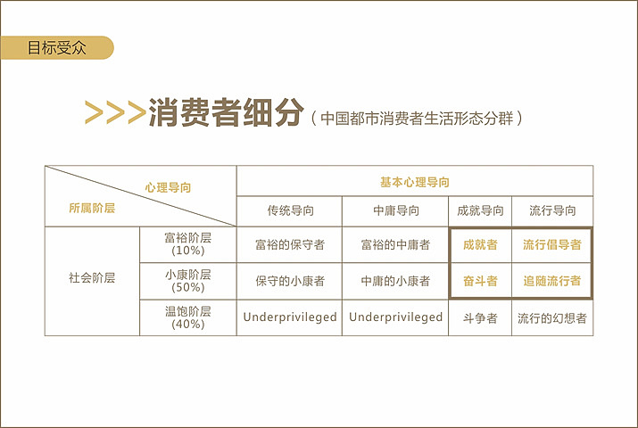 铂龙汇案例（峰尚品牌数字营销）