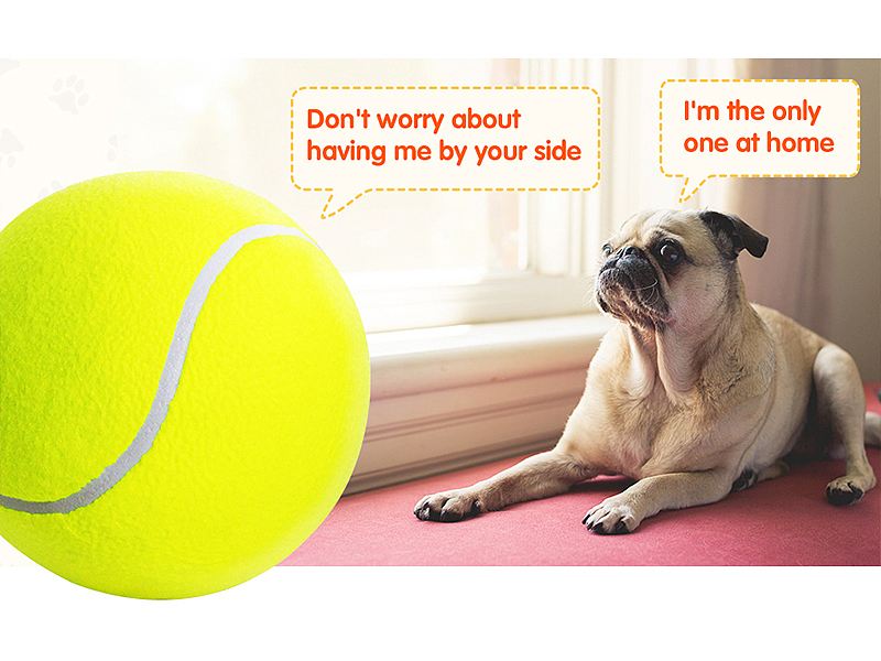 亚马逊狗狗充气大网球主宠互动玩具球（图ZMjg1NzU0MjY0） - 电商 - 站酷设计师jsxzwsz12345原创素材 - 站酷ZCOOL