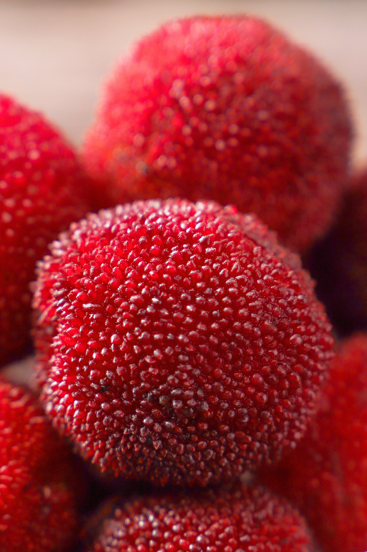 杨梅|摄影|美食摄影|静物摄影师lily_原创作品-站酷zcool