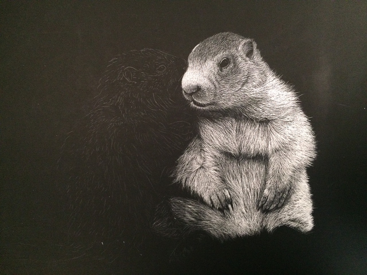 李子哥刮画作品《悄悄话》