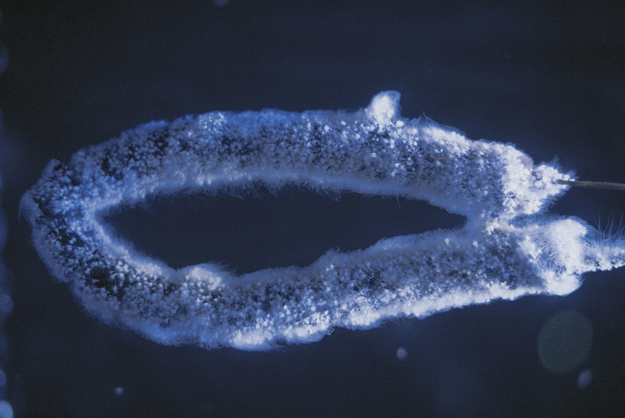 Fall in blue.（圖ZMTQ4NjU5NDY4） - 人像攝影 - 站酷設(shè)計(jì)師hi椰樹原創(chuàng)素材 - 站酷ZCOOL