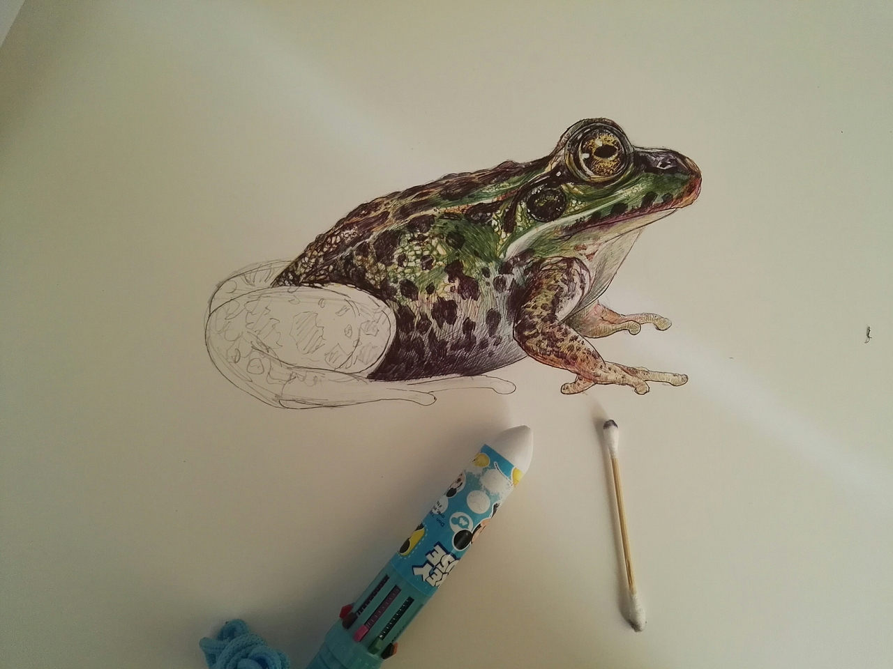 圆珠笔画的青蛙