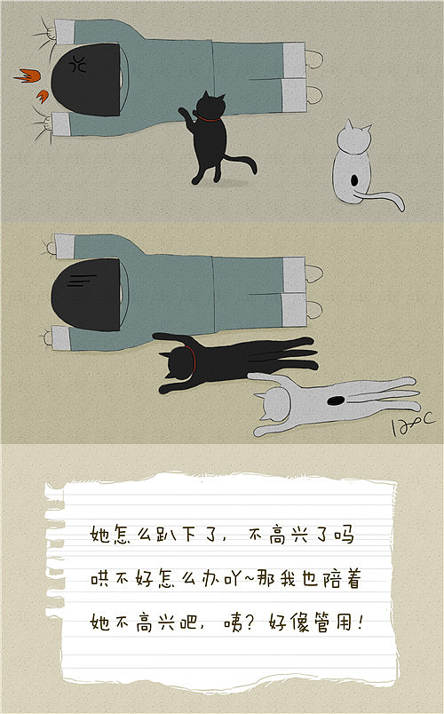 有猫咪的生活（图ZMTg0ODE1MDI4） - 创作习作 - 站酷设计师猫不齐原创素材 - 站酷ZCOOL