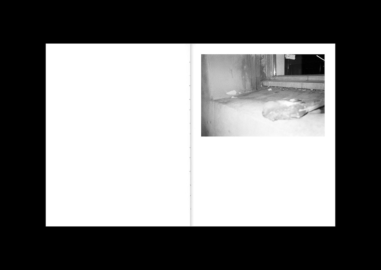 毕业创作-死鸟（图ZMjMyOTg0Nzk2） - 书籍/画册 - 站酷设计师裸马原创素材 - 站酷ZCOOL