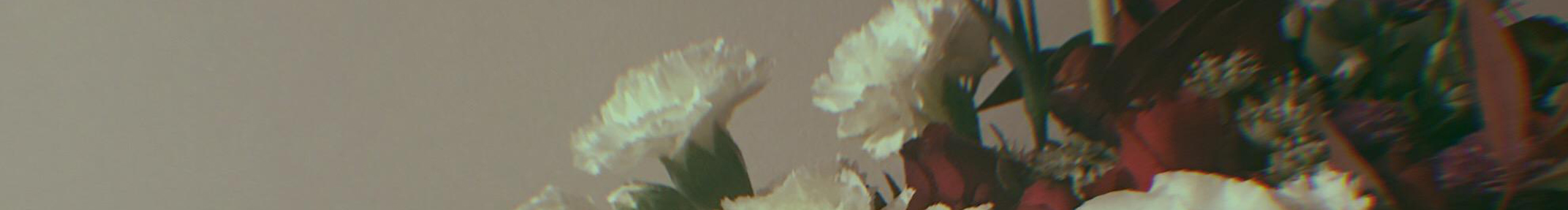 Shirexiao的个人主页（封面预览） - 主页封面设置 - 站酷设计师Shirexiao原创素材 - 站酷ZCOOL