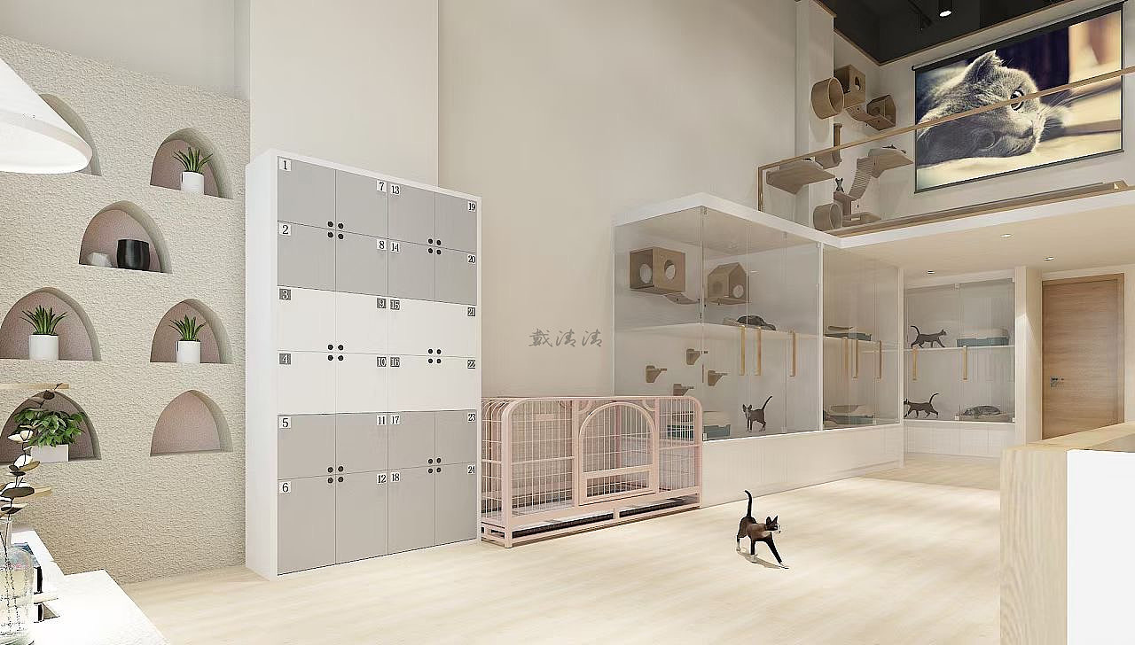 工装宠物店——简约不失温馨|空间|商业空间设计|清清设计 - 原创作品
