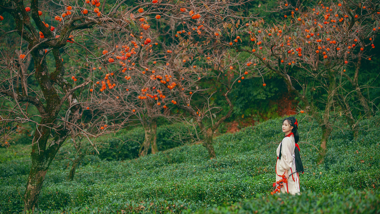 柿子（图ZMzU1MDk1MTY0） - 人像摄影 - 站酷设计师尚一清原创素材 - 站酷ZCOOL