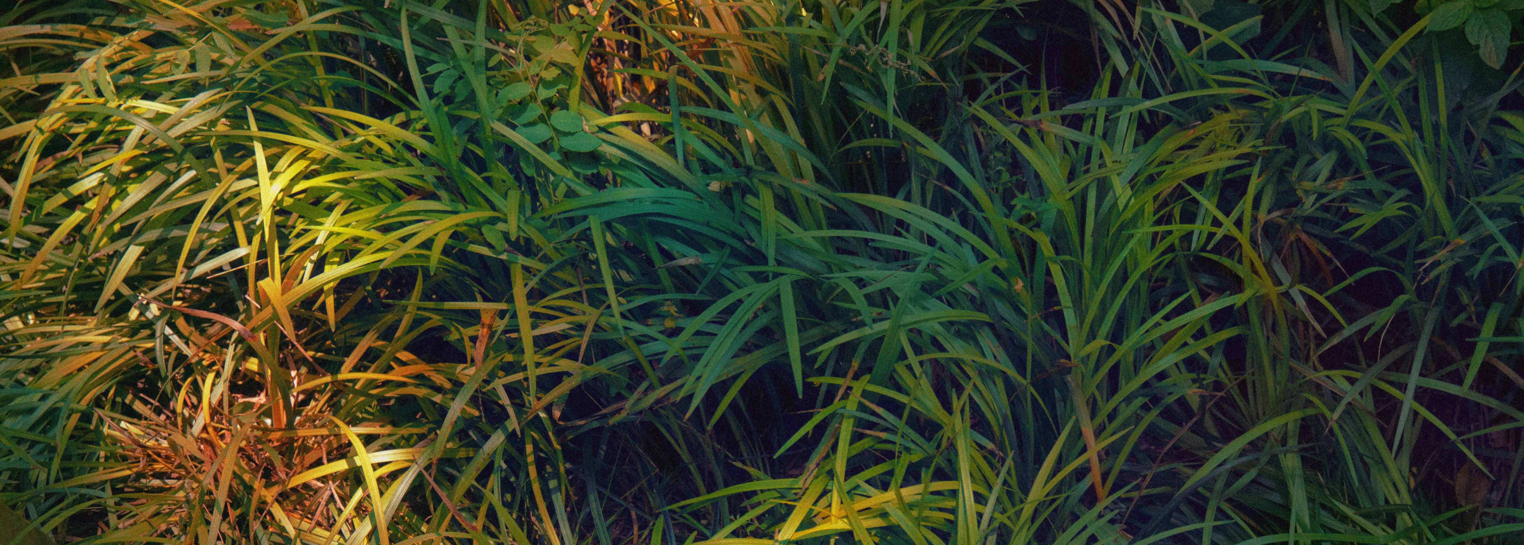 魚酒YOOJIO的個人主頁（封面預(yù)覽） - 主頁封面設(shè)置 - 站酷設(shè)計師魚酒YOOJIO原創(chuàng)素材 - 站酷ZCOOL