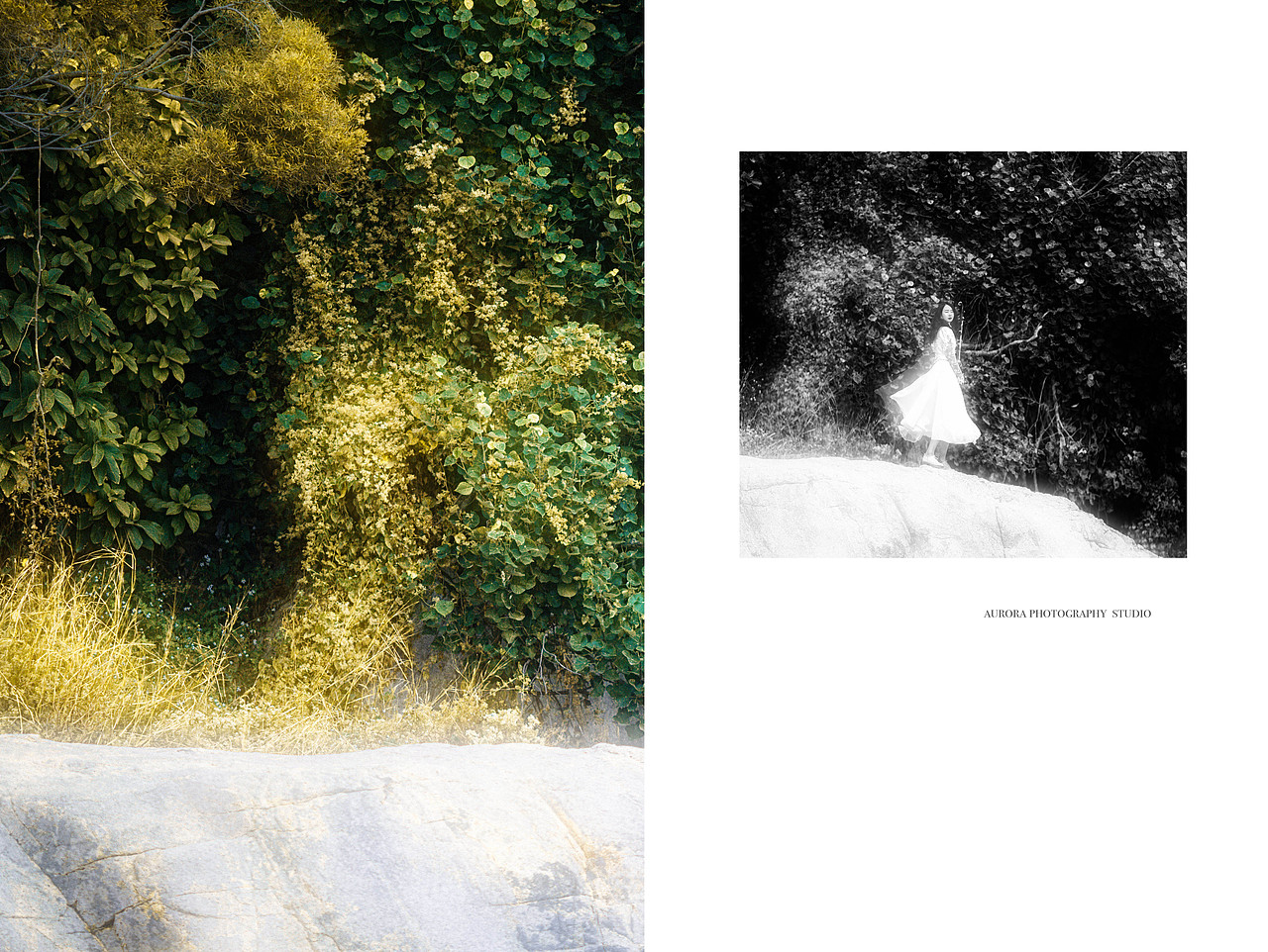 音乐与森林（图ZMTk2OTAzOTgw） - 人像摄影 - 站酷设计师狒狒Aurora原创素材 - 站酷ZCOOL