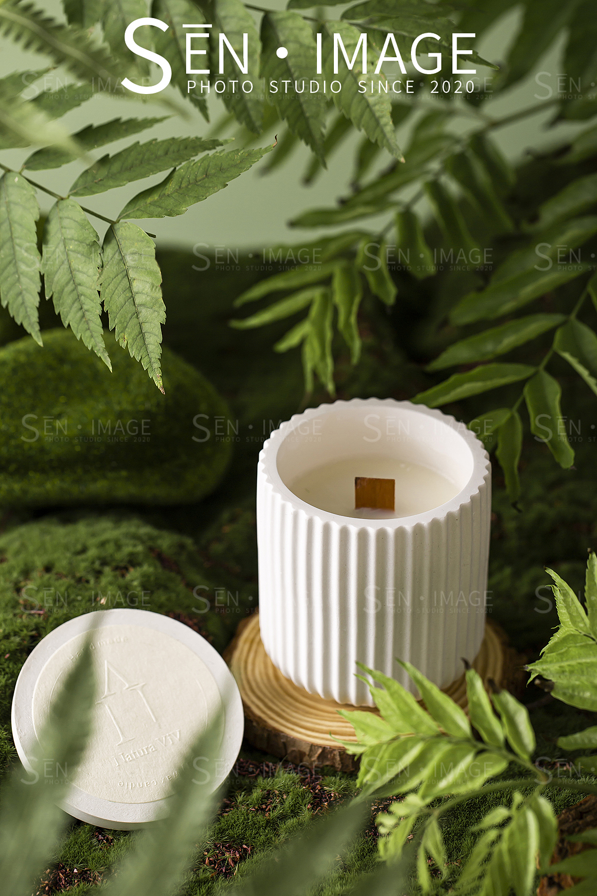 香薰森林风拍摄案例