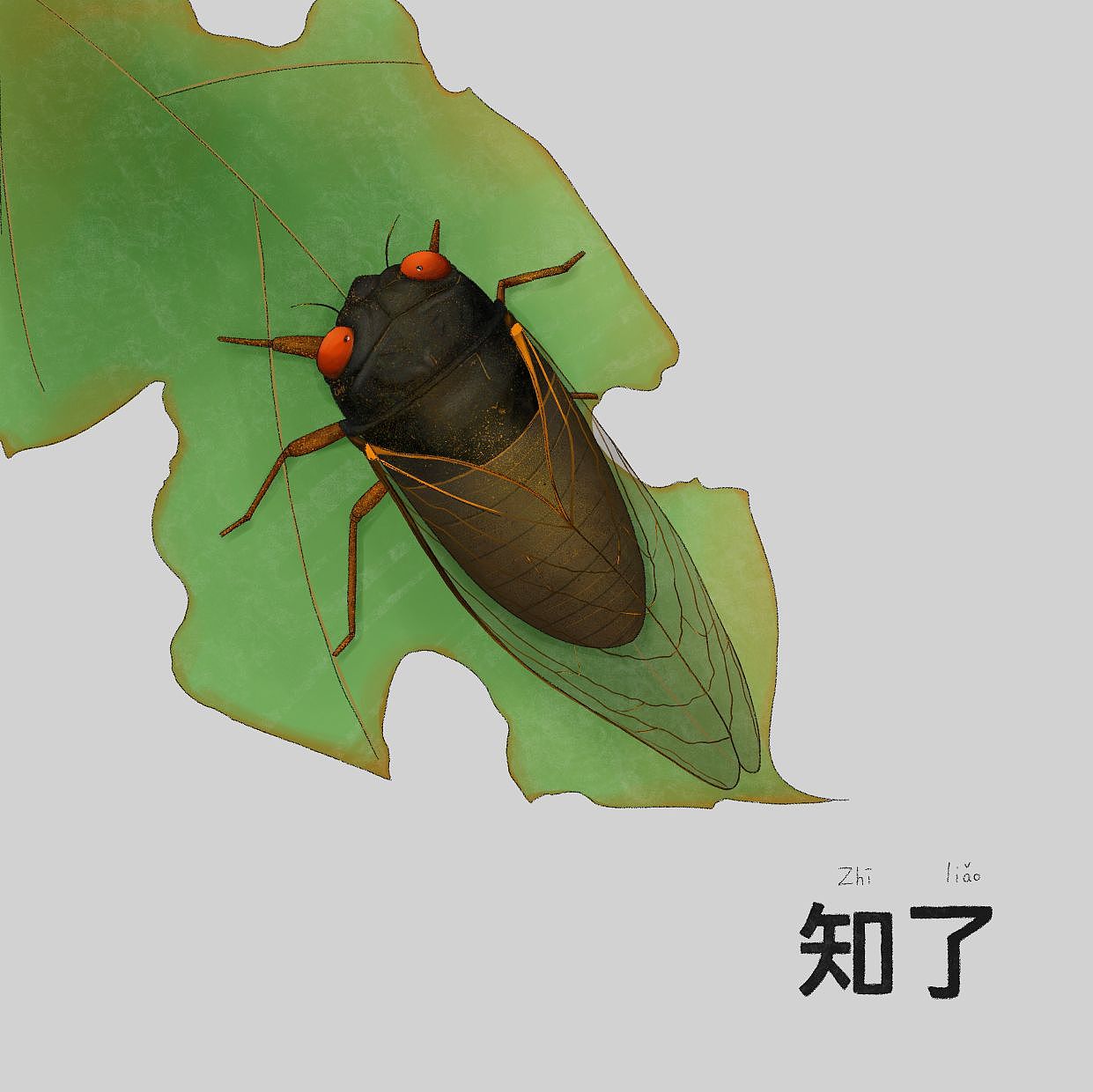 动植物主题插画