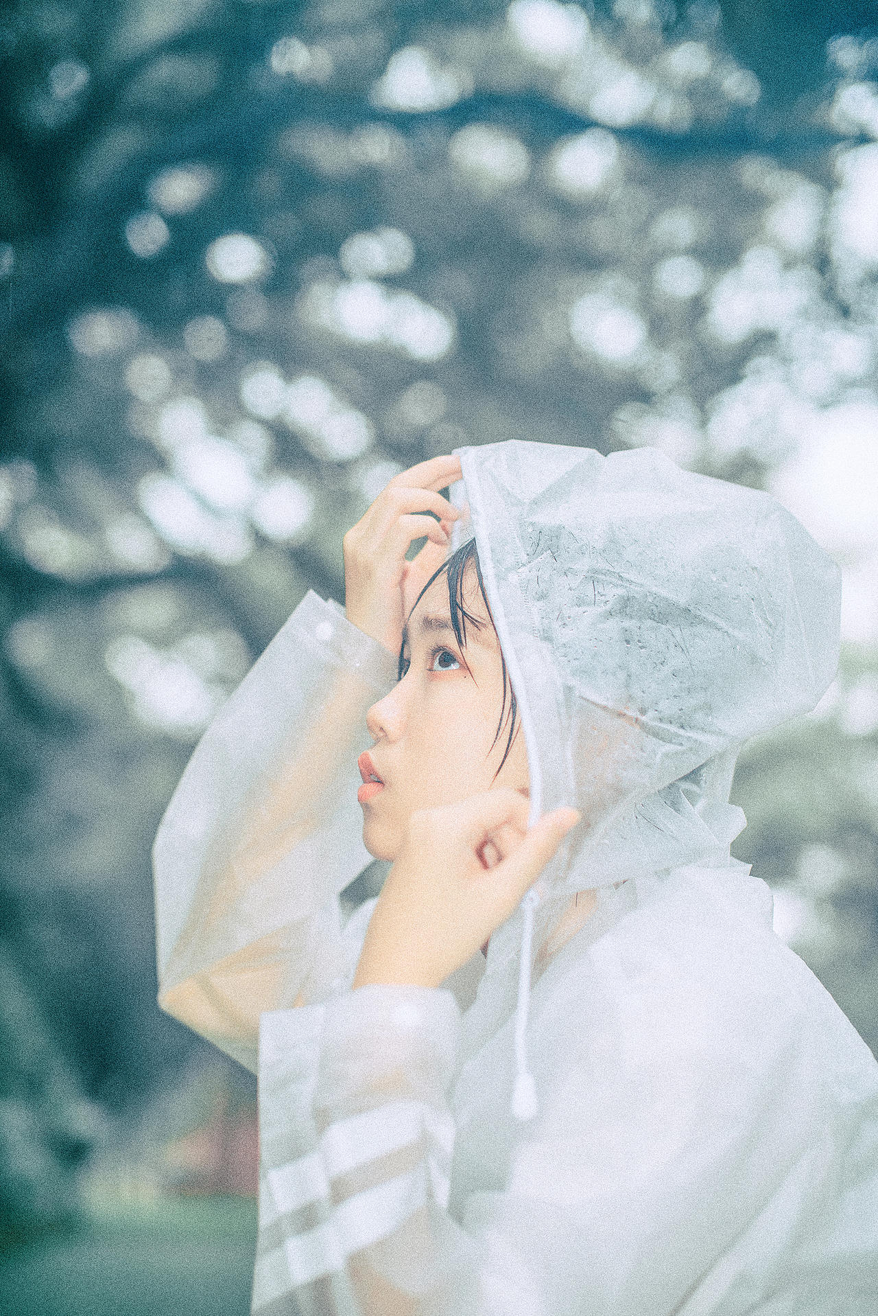 中大雨林（图ZMTc5NTI3MDQ4） - 人像摄影 - 站酷设计师小牛梦工厂原创素材 - 站酷ZCOOL