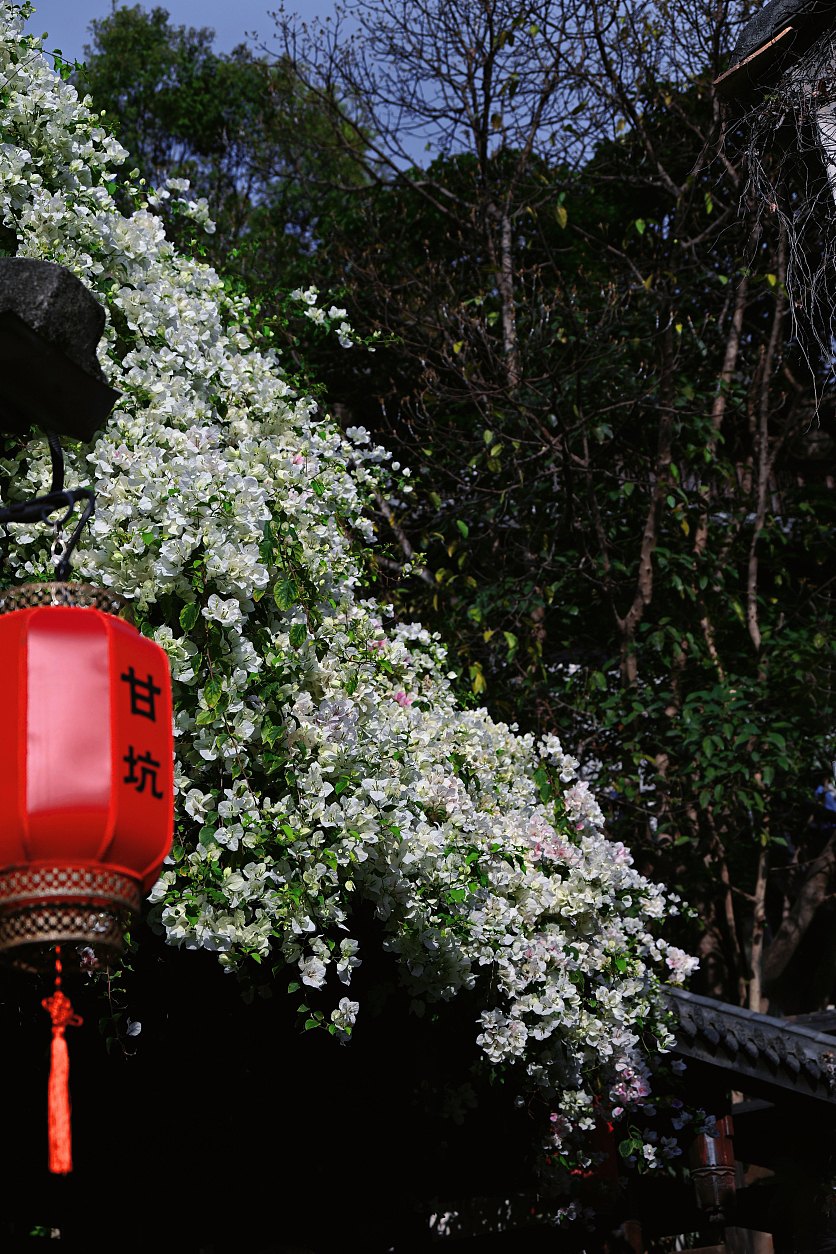 甘坑古镇/摄于3月