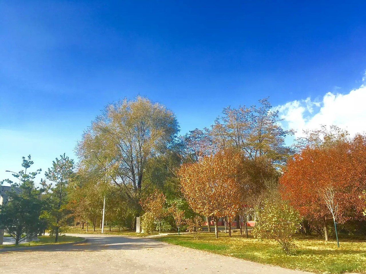 校园采风（图ZODU2MjcwNzY=） - 风光摄影 - 站酷设计师乖小猫咪朵朵莱原创素材 - 站酷ZCOOL