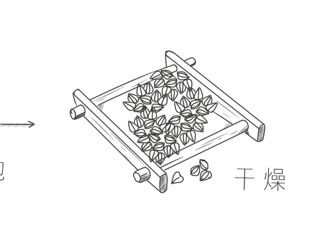 苦荞茶|插画|创作习作|佐伊的平行世界 - 原创作品 - 站酷 (zcool)