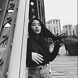 五月爱丽丝的头像