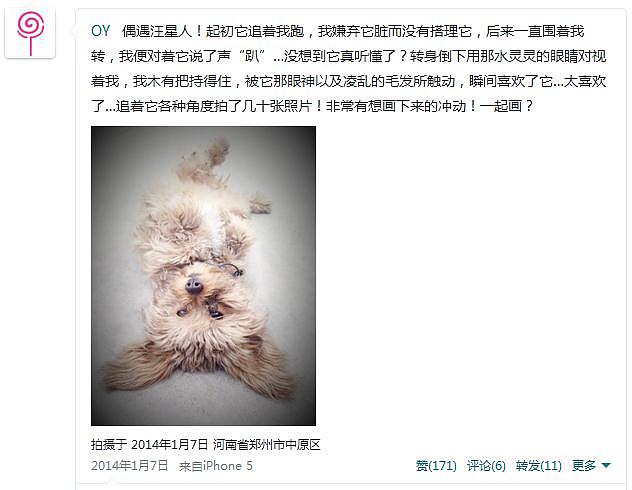 OY圆珠笔画：汪星人（图ZMTUyOTg4MzY=） - 绘画 - 站酷设计师欧阳鹏杰_OY原创素材 - 站酷ZCOOL