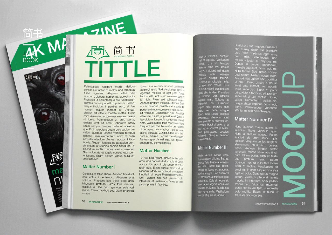 简书VI提案,简书logo,简书包装