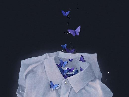 蝴蝶日记 | 系列插画合集